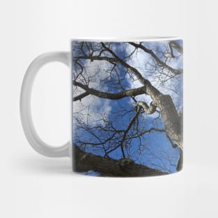 Branches Mug